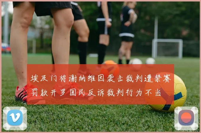 埃及门将谢纳维因袭击裁判遭禁赛罚款开罗国民反诉裁判行为不当